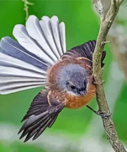Fantail On A Branch Diamond Painting