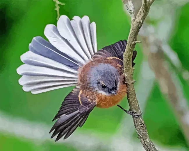 Fantail on a branch Diamond Paints Fantail On A Branch Diamond Painting