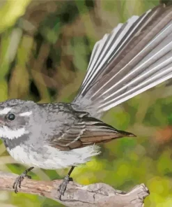 Fantail Songbird Diamond Painting