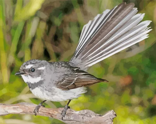 Fantail songbird Diamond Paints Fantail Songbird Diamond Painting