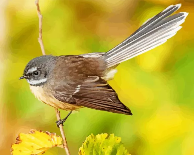 Fantails Diamond Paints Fantails Diamond Painting