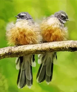 Fantails Birds Diamond Painting