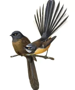 Fantails Birds Couple Diamond Painting