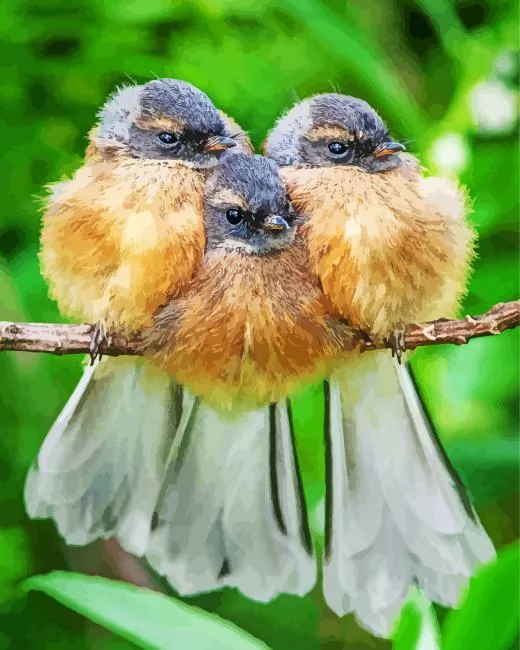 Fantails family Diamond Paints Fantails Family Diamond Painting