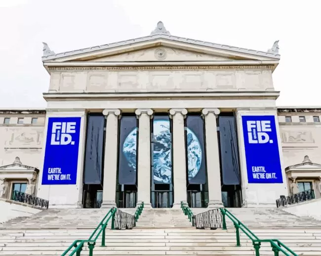 Field Museum Chicago Diamond Paintings Field Museum Chicago Diamond Painting