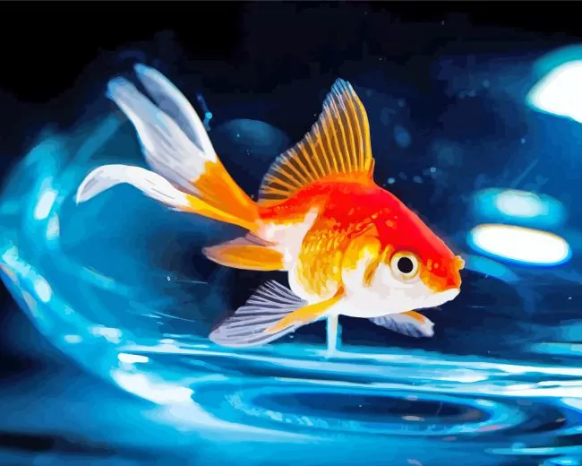 Goldfish Bowl Diamond With Numbers Goldfish Bowl Diamond Painting