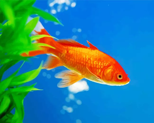 Goldfish swimming underwater Diamond With Numbers Goldfish Swimming Underwater Diamond Painting