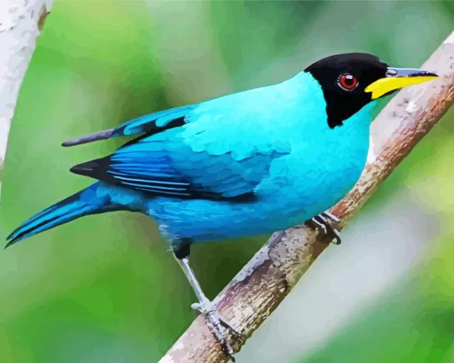 Green Honeycreeper Diamond Paints Green Honeycreepe Diamond Painting