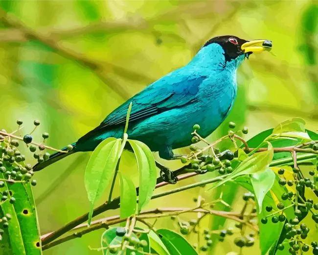 Green Honeycreeper eating Diamond Paints Green Honeycreeper Eating Diamond Painting