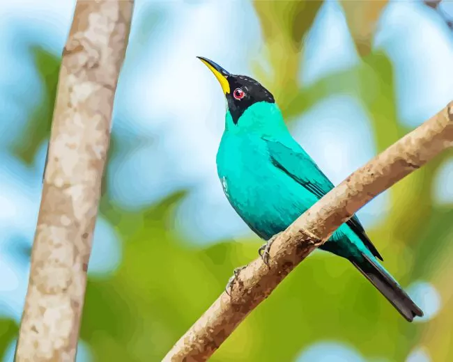 Green Honeycreeper looking up Diamond Paints Green Honeycreeper Looking Up Diamond Painting