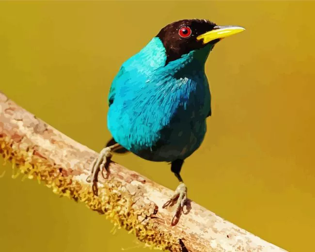 Green Honeycreeper on a branch Diamond Paints Green Honeycreeper On A Branch Diamond Painting