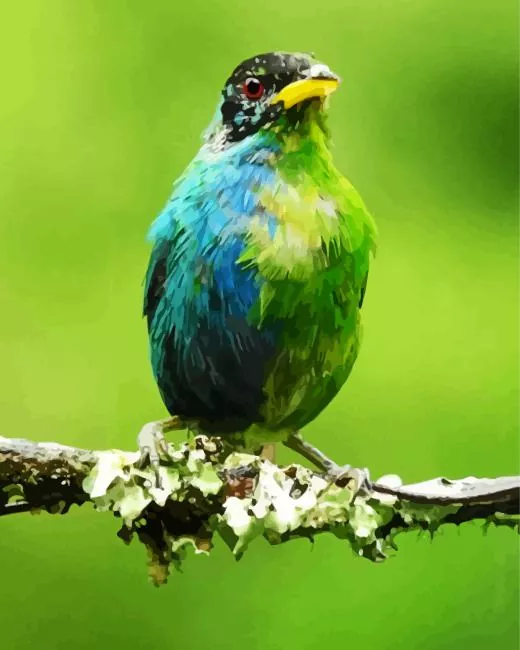 Green Honeycreeper on a floral branch Diamond Paints Green Honeycreeper On A Floral Branch Diamond Painting