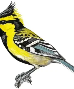 Himalayan Black Lored Art Diamond Painting