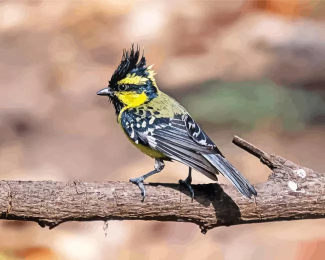 Himalayan Black Lored on a stick Diamond Paintings Himalayan Black Lored On A Stick Diamond Painting