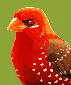 Red Avadavat Art Diamond Painting