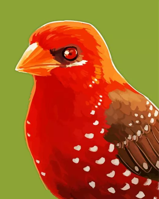 Red Avadavat art Diamond Paints Red Avadavat Art Diamond Painting