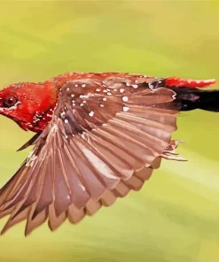 Red Avadavat In Flight Diamond Painting