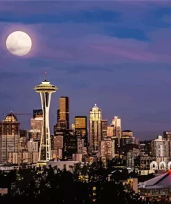 Seattle And Moonlight Diamond Painting