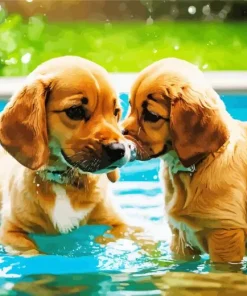 Swimming Puppies Diamond Painting