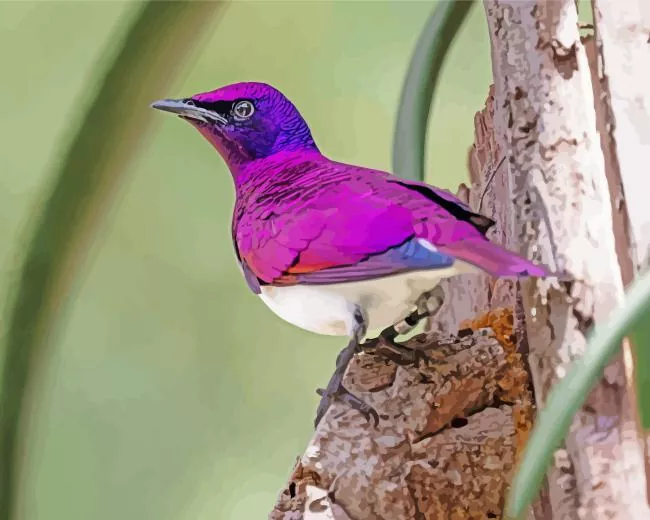 Violet Backed Starling on a tree Diamond Paints Violet Backed Starling On A Tree Diamond Painting