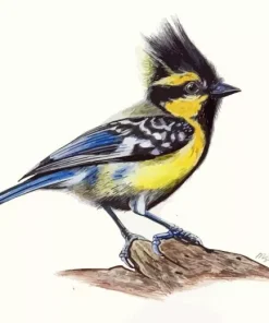 Abstract Himalayan Black Lored Diamond Painting