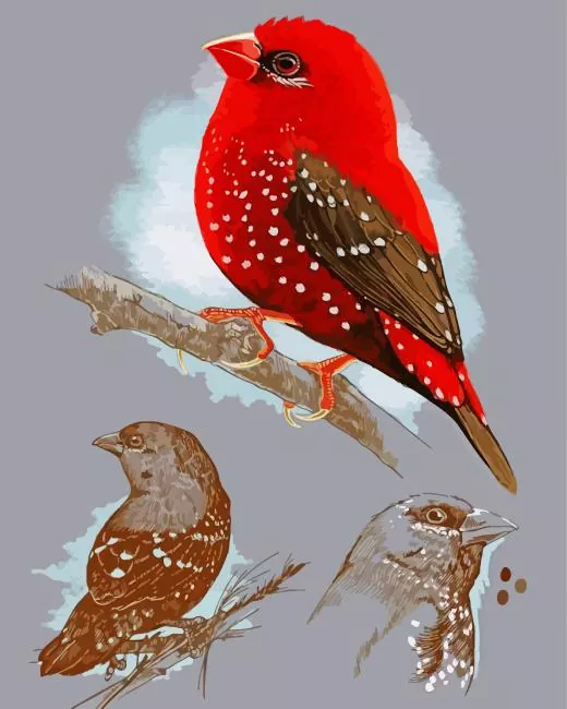 abstract Red Avadavat Diamond Paints Abstract Red Avadavat Diamond Painting