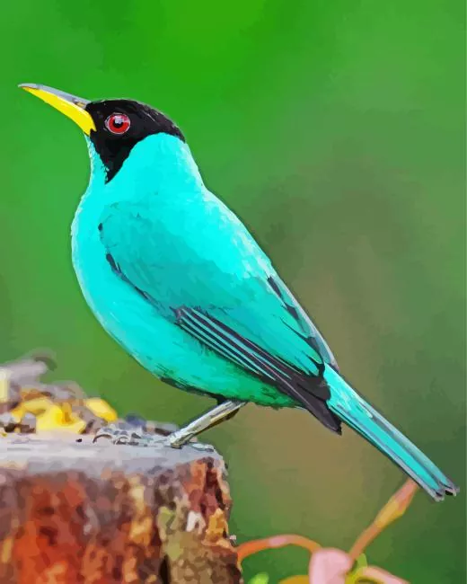 adorable Green Honeycreeper Diamond Paints Adorable Green Honeycreeper Diamond Painting