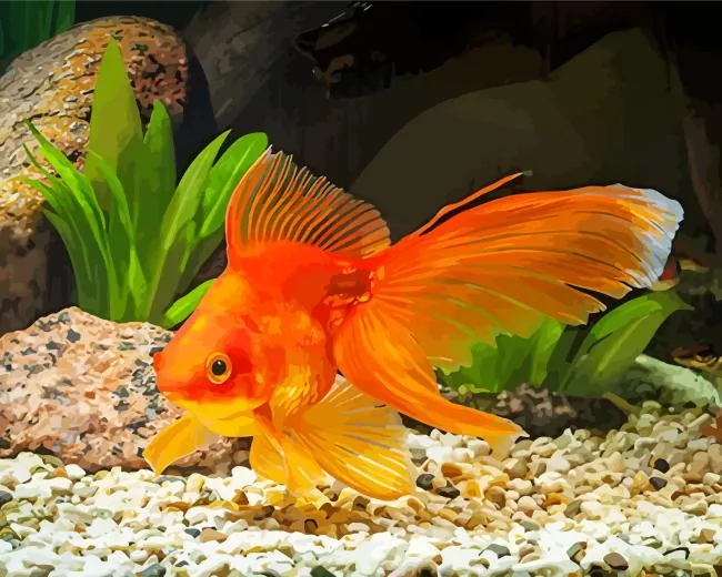 aquarium Goldfish art Diamond With Numbers Aquarium Goldfish Art Diamond Painting