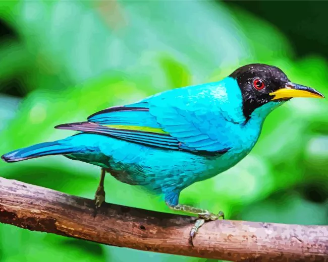 blue Green Honeycreeper Diamond Paints Blue Green Honeycreeper Diamond Painting