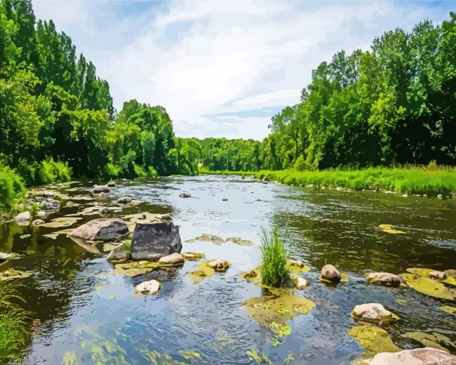 calm Minnesota river Diamond By Numbers Calm Minnesota River Diamond Painting