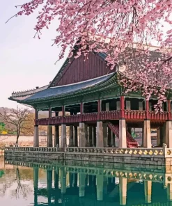 Cherrblossoms In Gyeongbokgung Palace Diamond Painting