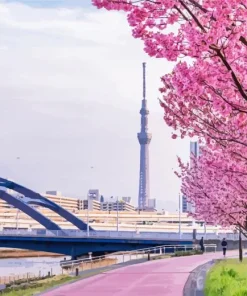 Cherry Blossoms In Tokyo Diamond Painting