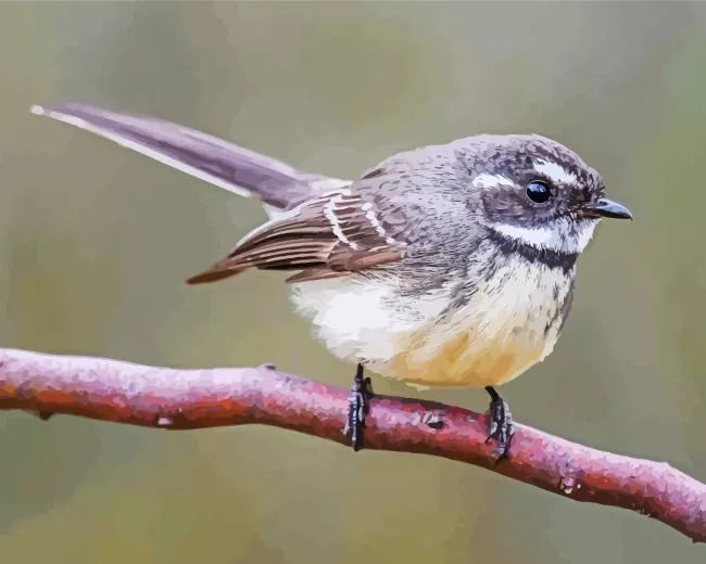 close up Fantail bird Diamond Paints Close Up Fantail Bird Diamond Painting