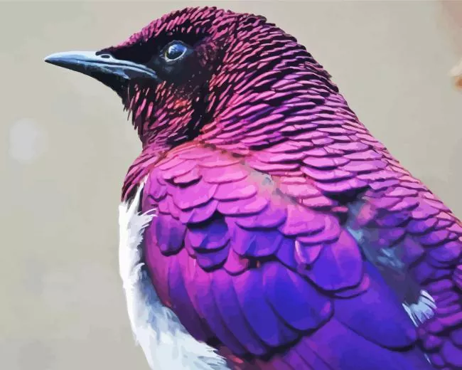 close up Violet Backed Starling Diamond Paints Close Up Violet Backed Starling Diamond Painting