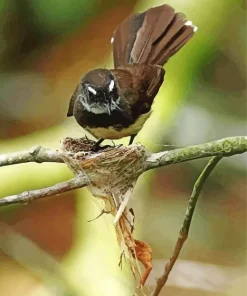 Cute Fantail Bird Diamond Painting