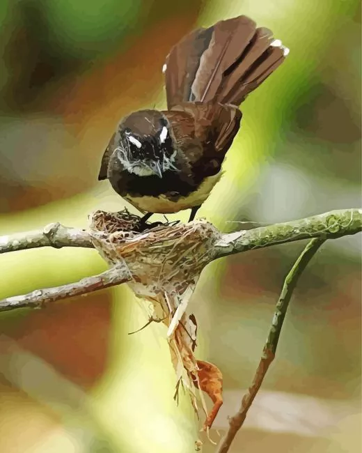 cute Fantail bird Diamond Paints Cute Fantail Bird Diamond Painting