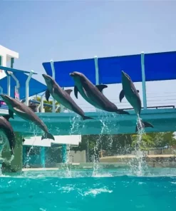 Dolphins In Interactive Aquarium Diamond Painting