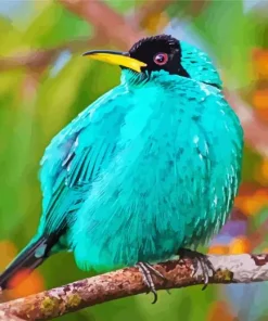Fluffy Green Honeycreeper Diamond Painting