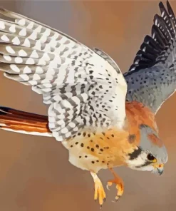 Flying Common Kestrel Diamond Painting