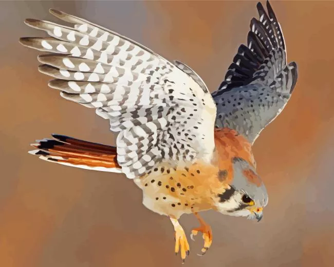 flying Common Kestrel Diamond Paints Flying Common Kestrel Diamond Painting