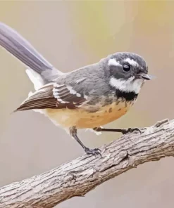 Grey Fantail Diamond Painting