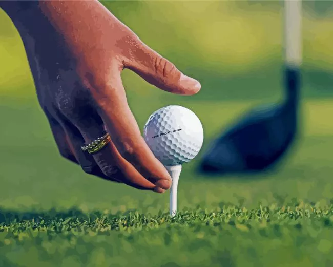 hand and Golf ball Diamond By Numbers Hand And Golf Ball Diamond Painting