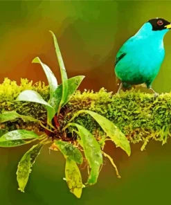 Lovely Green Honeycreeper Diamond Painting