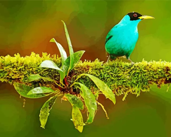 lovely Green Honeycreeper Diamond Paints Lovely Green Honeycreeper Diamond Painting