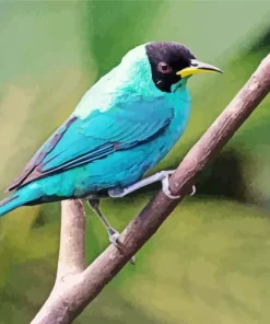 Lovely Green Honeycreeper Bird Diamond Painting