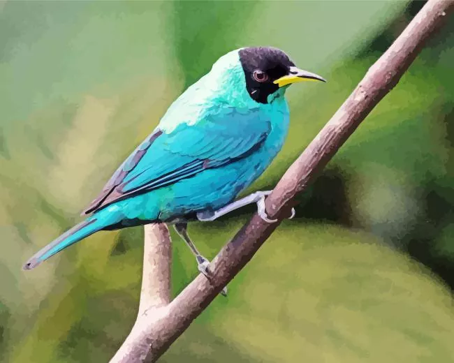 lovely Green Honeycreeper bird Diamond Paints Lovely Green Honeycreeper Bird Diamond Painting