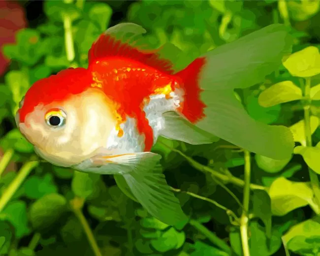 orange and white Goldfish Diamond With Numbers Orange And White Goldfish Diamond Painting