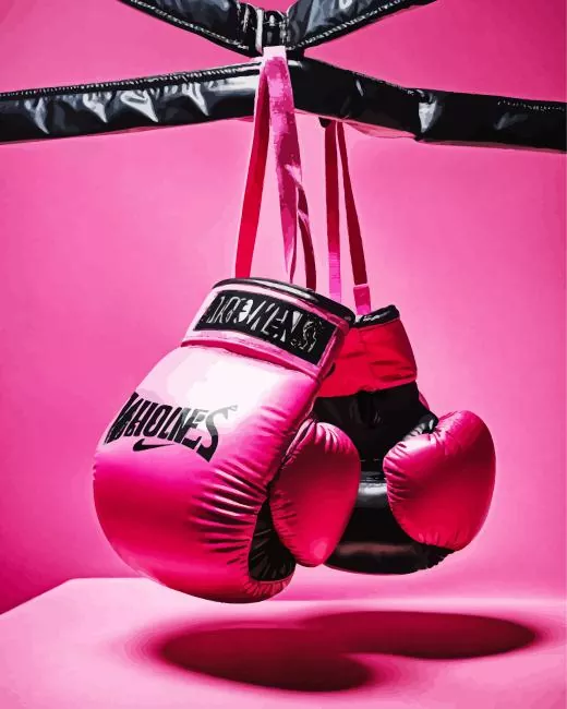 pink boxing gloves Diamond By Numbers Pink Boxing Gloves Diamond Painting