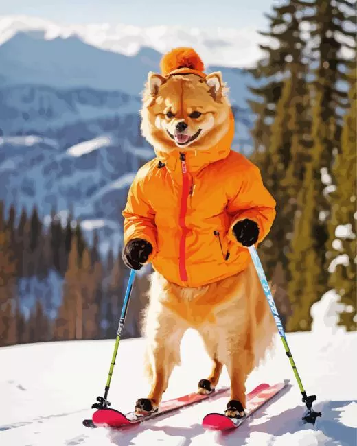 pomeranian dog Snowboarding Diamond Paintings Pomeranian Dog Snowboarding Diamond Painting
