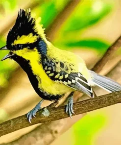 Small Himalayan Black Lored Bird Diamond Painting